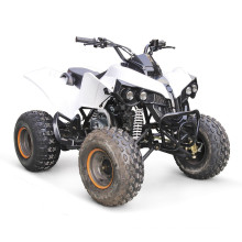 ATV 110CC KINDER BILLIGE MINI MOTOR MIT UMGEKEHRTER VERFÜGBAR HX110C